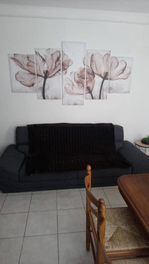 50 M Ocean Maison Classee 2 Etoiles 2/7 Personnes Mimizan Bagian luar foto